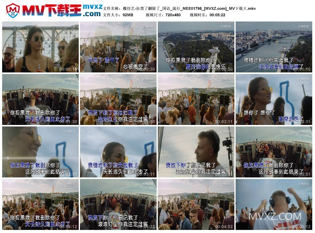 魏佳艺-拉黑了删除了_国语_流行_MEE01798